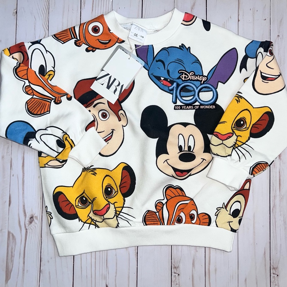 Zara Disney Friends Sweatshirt